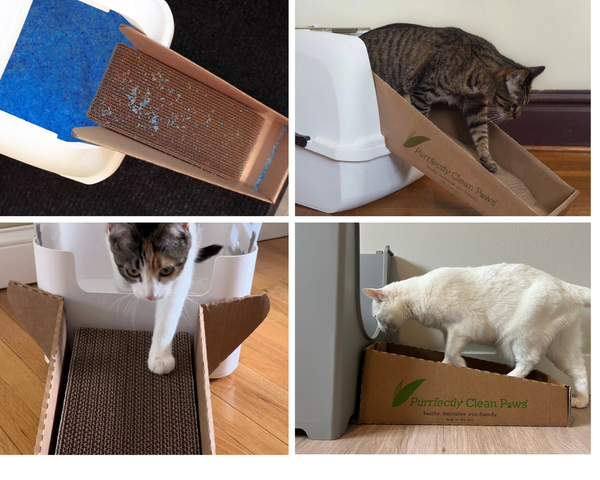 Video of a cat walking out of a white hooded littler box onto the Purrfectly Clean Paws® Ramp that is attached to the opening of the litter box. The cat walks out of the litter box onto the ramp and then onto the floor.