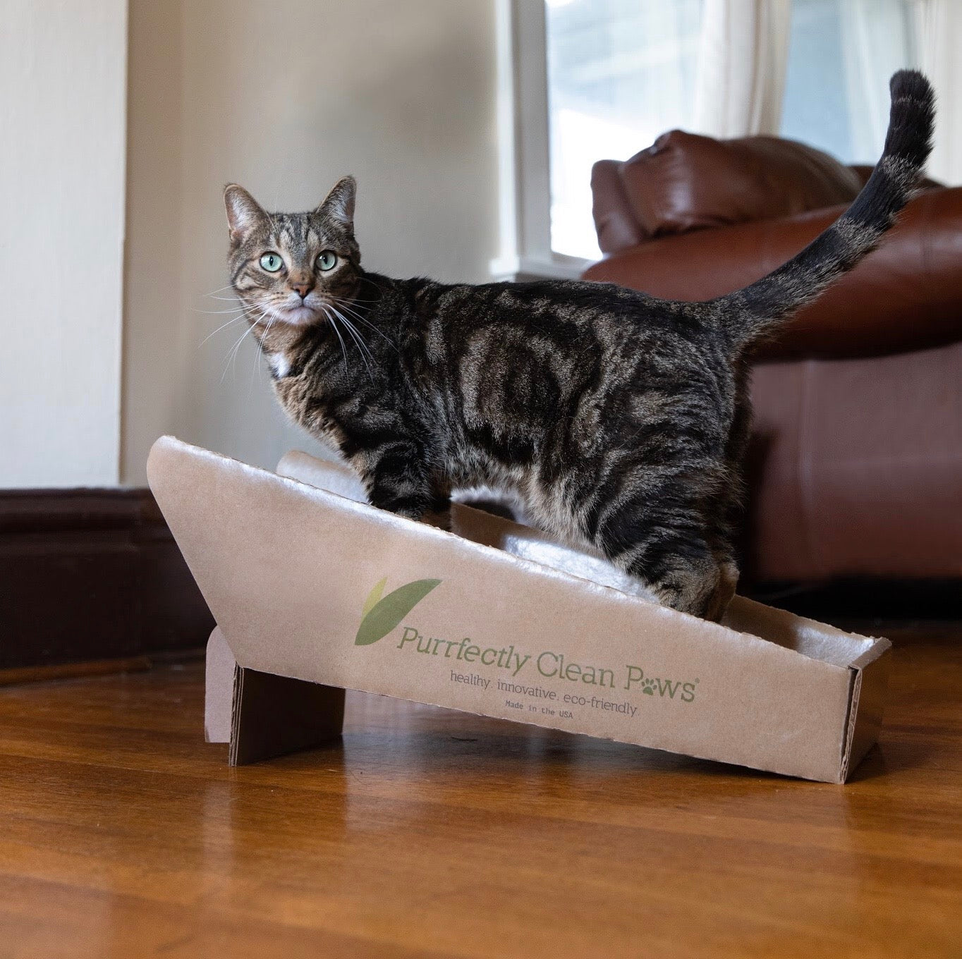 Purrfectly Clean Paws® Anti-Tracking, Scratcher, Cat Litter Box Ramp