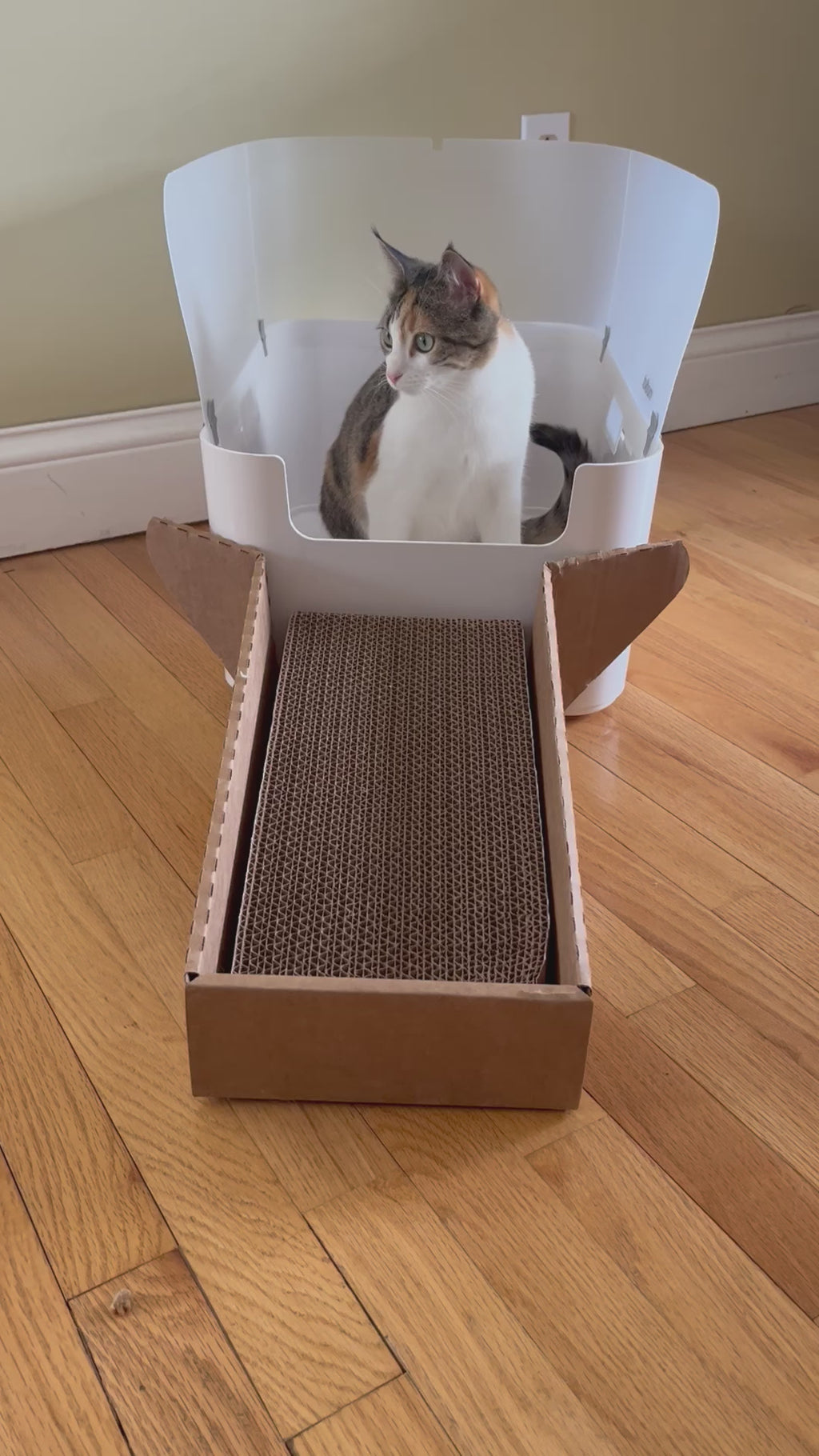 Purrfectly Clean Paws® Anti-Tracking, Scratcher, Cat Litter Box Ramp