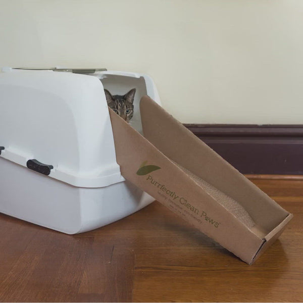 Video of a cat walking out of a white hooded littler box onto the Purrfectly Clean Paws® Ramp that is attached to the opening of the litter box. The cat walks out of the litter box onto the ramp and then onto the floor.